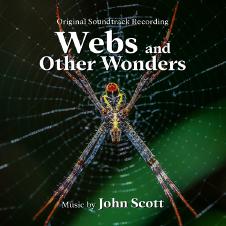 Webs And Other Wonders